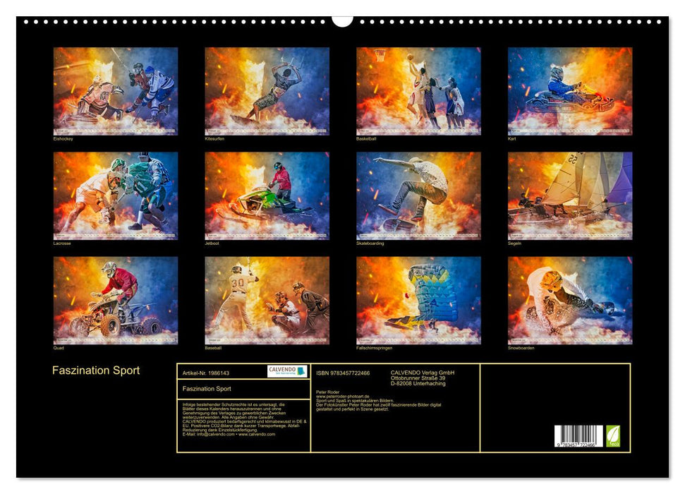 Faszination Sport (CALVENDO Wandkalender 2026)