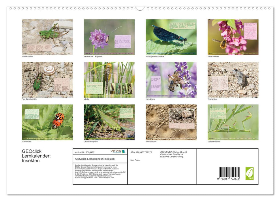 GEOclick Lernkalender: Insekten (CALVENDO Premium Wandkalender 2026)