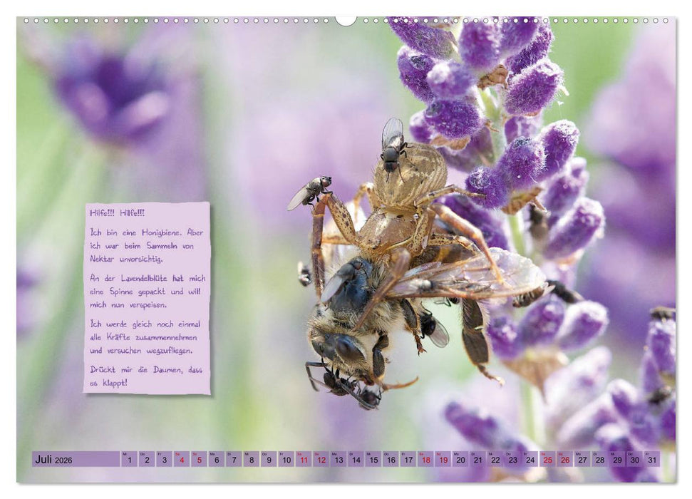 GEOclick Lernkalender: Insekten (CALVENDO Premium Wandkalender 2026)