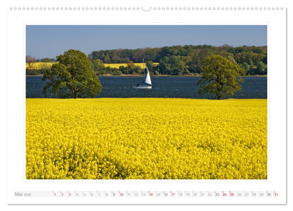 Schleswig-Holstein - über Stadt und Land (CALVENDO Premium Wandkalender 2026)