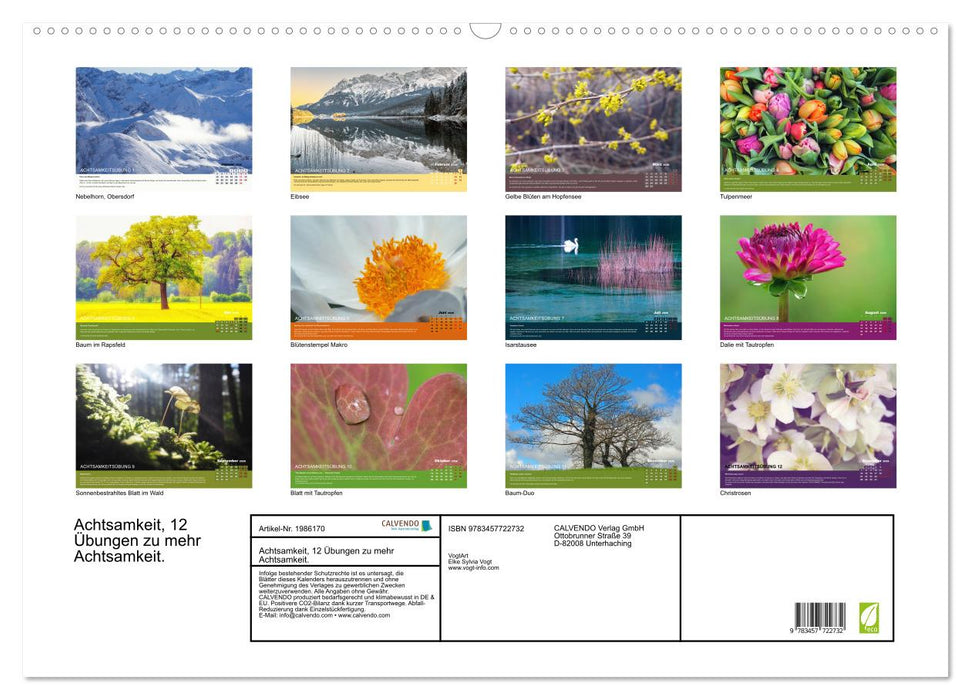 Achtsamkeit, 12 Übungen zu mehr Achtsamkeit. (CALVENDO Wandkalender 2026)