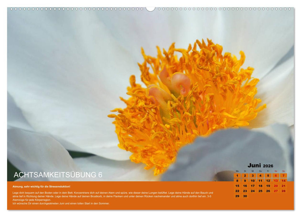 Achtsamkeit, 12 Übungen zu mehr Achtsamkeit. (CALVENDO Wandkalender 2026)