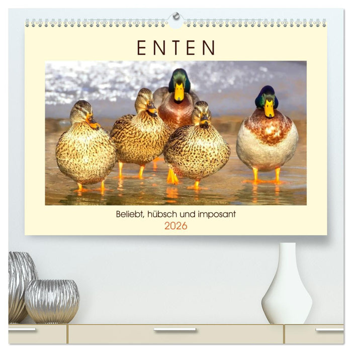 Enten. Beliebt, hübsch und imposant (CALVENDO Premium Wandkalender 2026)