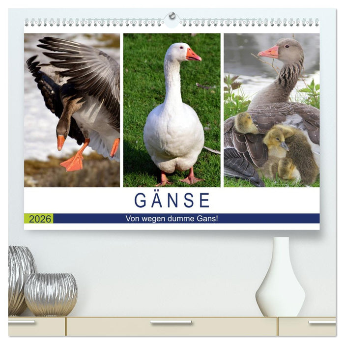 Gänse. Von wegen dumme Gans! (CALVENDO Premium Wandkalender 2026)
