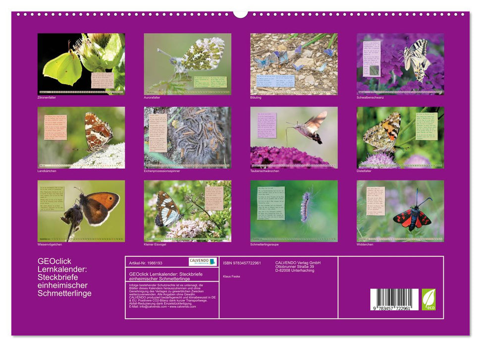 GEOclick Lernkalender: Steckbriefe einheimischer Schmetterlinge (CALVENDO Premium Wandkalender 2026)