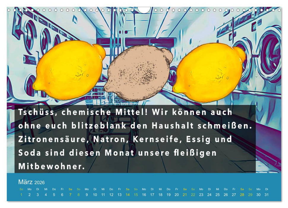 Nachhaltiger Kalender. Monat für Monat in ein nachhaltiges Leben. (CALVENDO Wandkalender 2026)