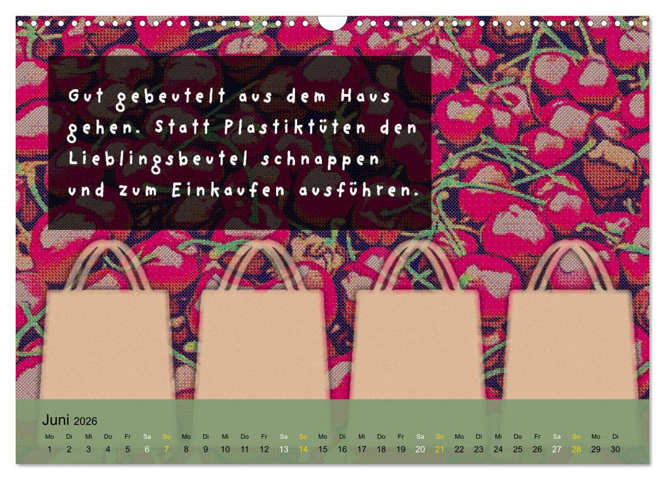 Nachhaltiger Kalender. Monat für Monat in ein nachhaltiges Leben. (CALVENDO Wandkalender 2026)