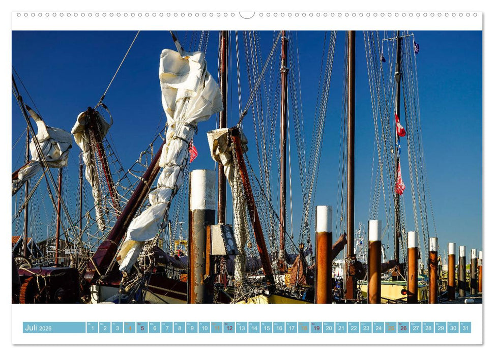 Texel - Die Sommer-Sonnen-Insel (CALVENDO Premium Wandkalender 2026)