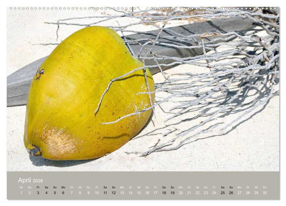 Mexiko - ein traumhaftes Paradies (CALVENDO Premium Wandkalender 2026)