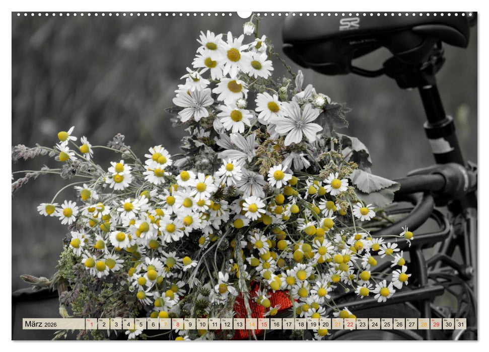 Fahrrad Alltag - Film Noir Style (CALVENDO Wandkalender 2026)