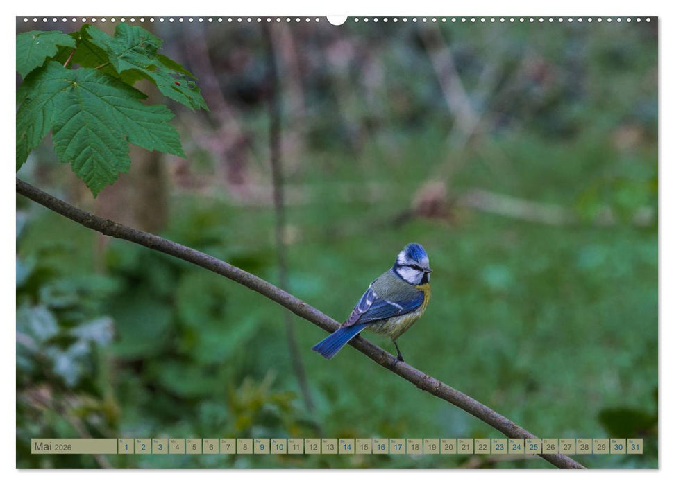Woltersdorf bei Berlin (CALVENDO Premium Wandkalender 2026)
