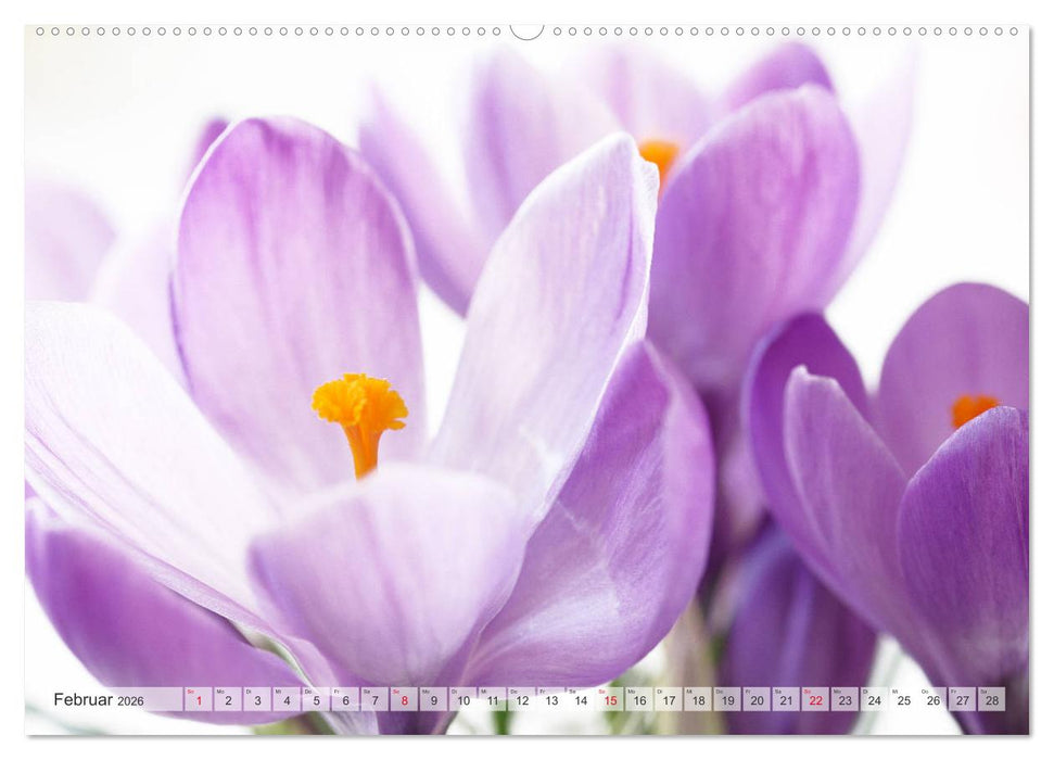 Blumenlust (CALVENDO Premium Wandkalender 2026)