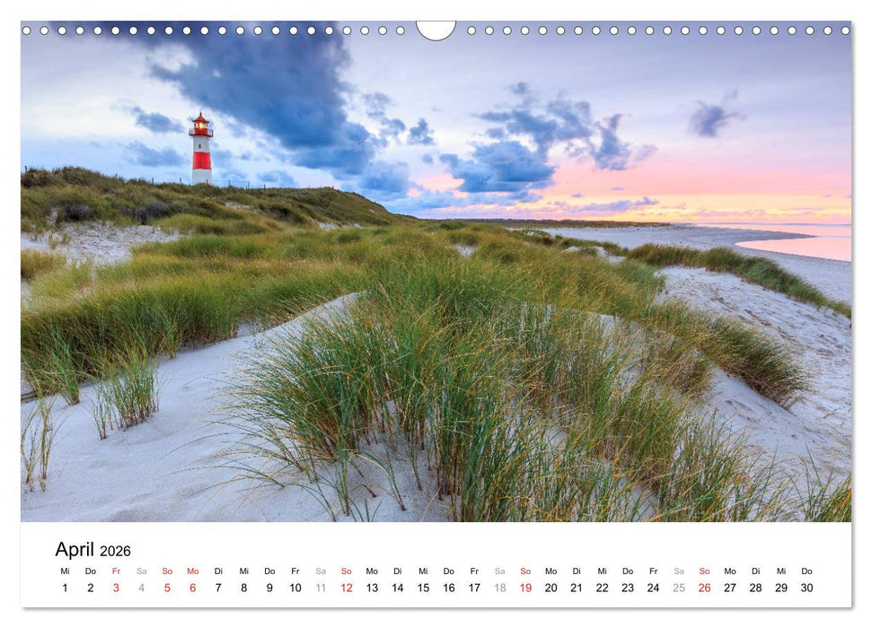 LEUCHTTÜRME - rund um den Globus (CALVENDO Wandkalender 2026)