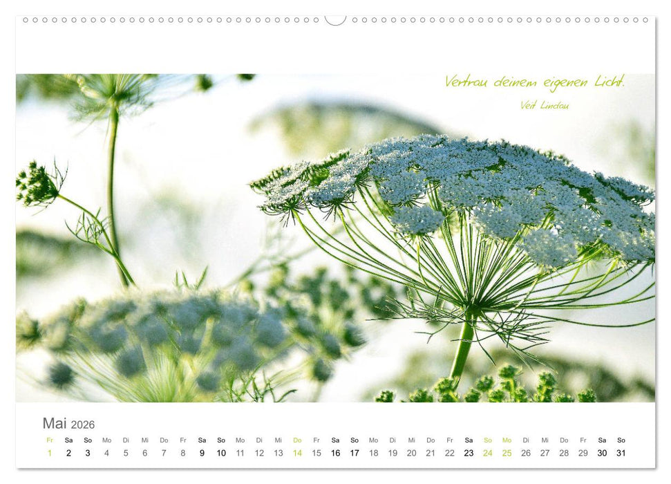 Rendezvous im Park (CALVENDO Wandkalender 2026)