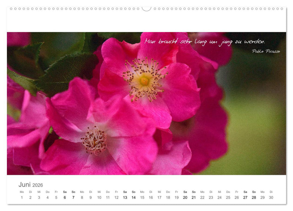 Rendezvous im Park (CALVENDO Wandkalender 2026)