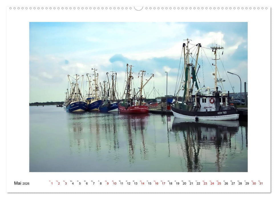 Liebenswertes Dithmarschen (CALVENDO Premium Wandkalender 2026)