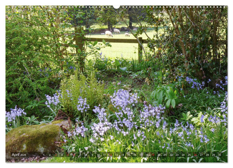 Malerische Cotswolds (CALVENDO Premium Wandkalender 2026)