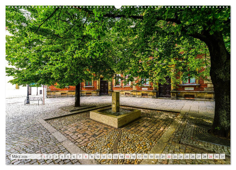 Zwickau Impressionen (CALVENDO Premium Wandkalender 2026)