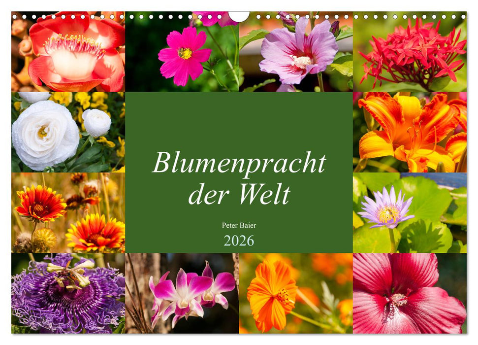 Blumenpracht der Welt (CALVENDO Wandkalender 2026)
