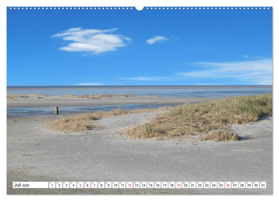 Schleswig-Holstein Moin Moin (CALVENDO Premium Wandkalender 2026)