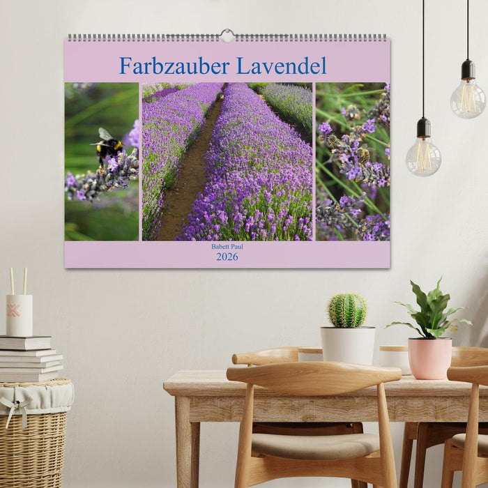 Farbzauber Lavendel (CALVENDO Wandkalender 2026)
