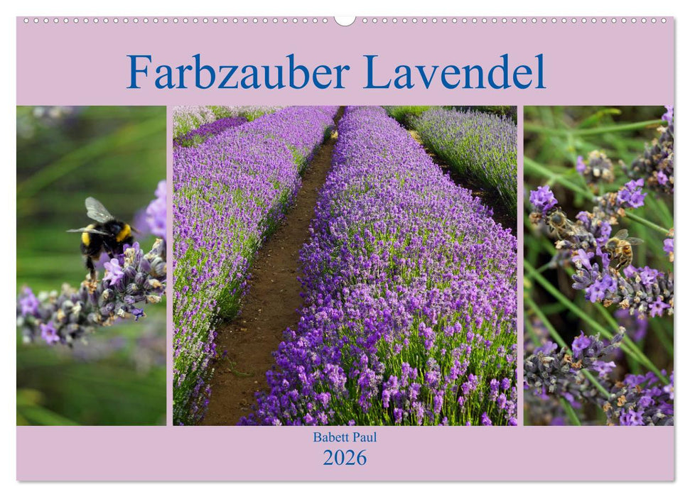 Farbzauber Lavendel (CALVENDO Wandkalender 2026)
