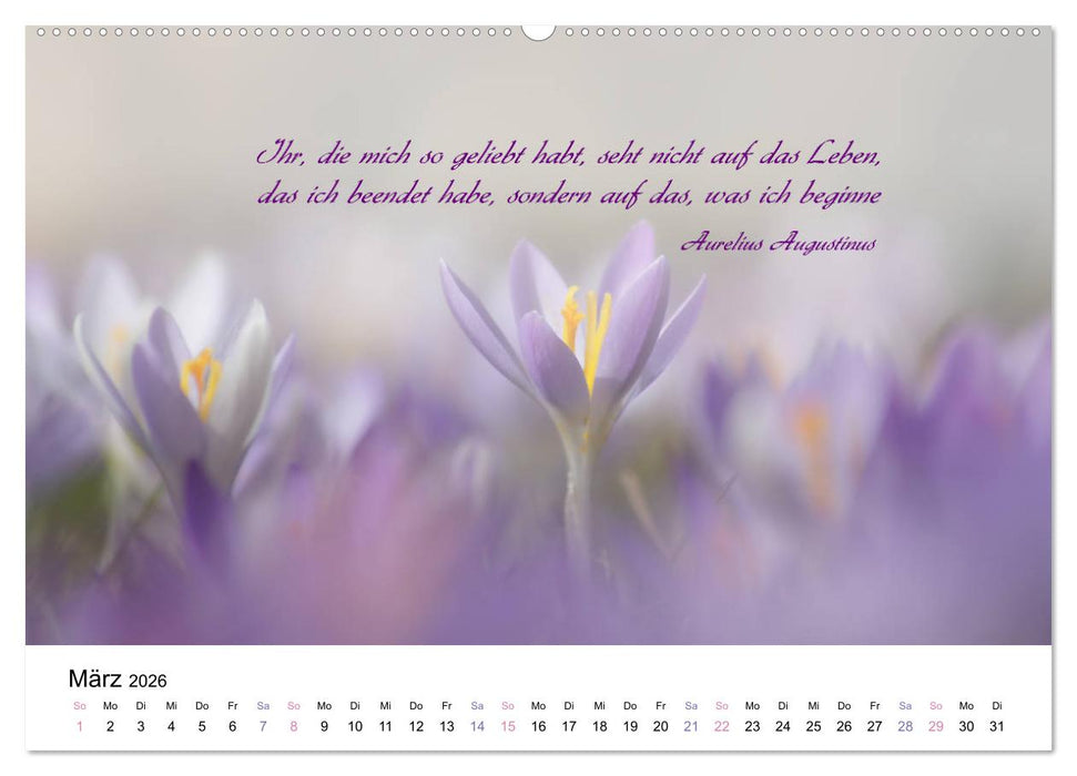 Zeit für Trauer - begleitet mit Zitaten (CALVENDO Premium Wandkalender 2026)