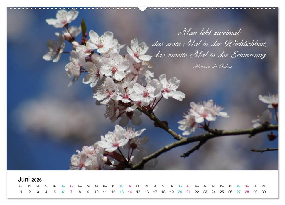 Zeit für Trauer - begleitet mit Zitaten (CALVENDO Premium Wandkalender 2026)