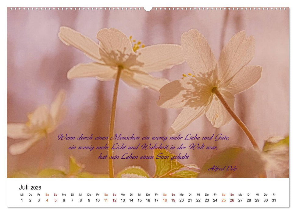 Zeit für Trauer - begleitet mit Zitaten (CALVENDO Premium Wandkalender 2026)
