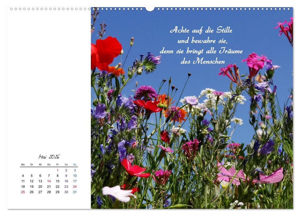 Innehalten in der Natur ... mit Weisheiten und Sprichworten der Indianer (CALVENDO Premium Wandkalender 2026)