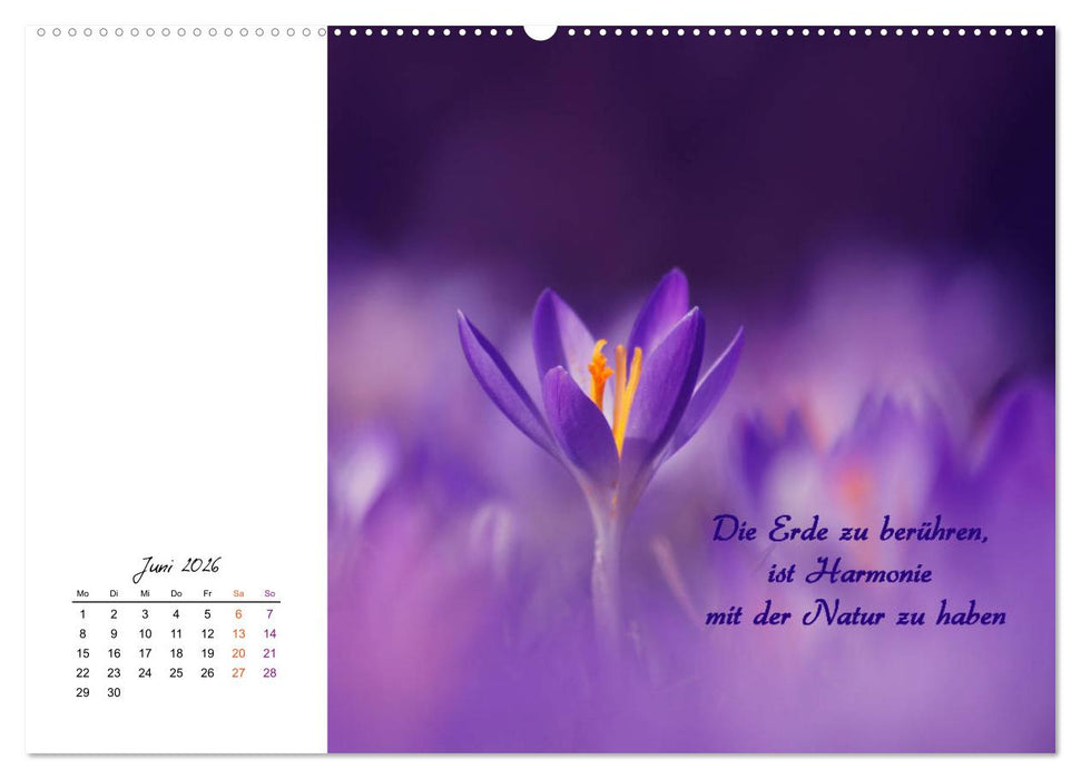 Innehalten in der Natur ... mit Weisheiten und Sprichworten der Indianer (CALVENDO Premium Wandkalender 2026)