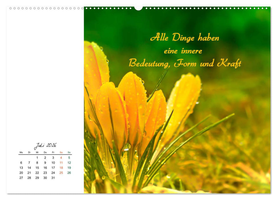 Innehalten in der Natur ... mit Weisheiten und Sprichworten der Indianer (CALVENDO Premium Wandkalender 2026)