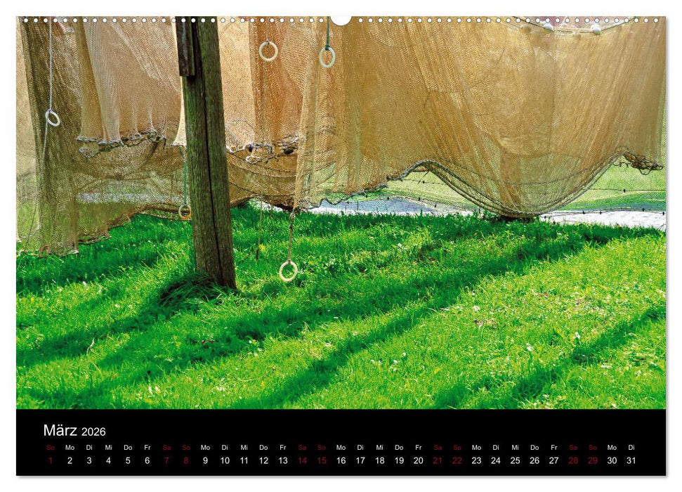 Segelsommer - Dänische Südsee (CALVENDO Premium Wandkalender 2026)