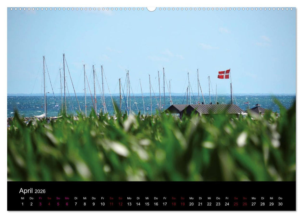 Segelsommer - Dänische Südsee (CALVENDO Premium Wandkalender 2026)