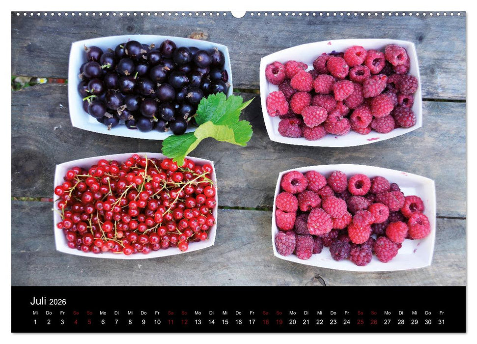 Segelsommer - Dänische Südsee (CALVENDO Premium Wandkalender 2026)