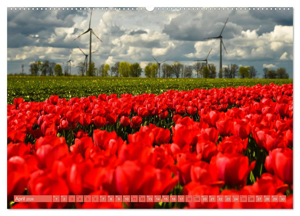 Romantischer Rhein-Kreis Neuss (CALVENDO Premium Wandkalender 2026)