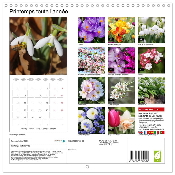 Printemps toute l'année (CALVENDO Calendrier mensuel 2026)
