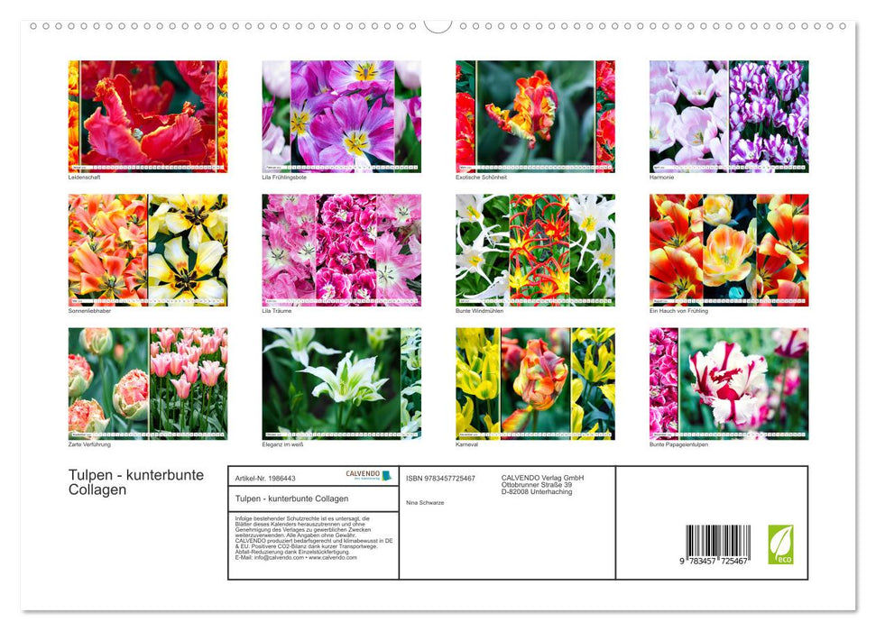 Tulpen - kunterbunte Collagen (CALVENDO Premium Wandkalender 2026)