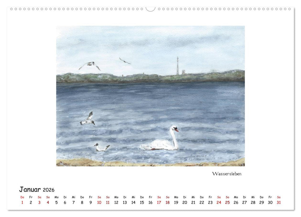 Die Flensburger Förde (CALVENDO Premium Wandkalender 2026)