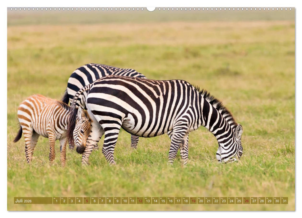 Wildes Kenia (CALVENDO Premium Wandkalender 2026)