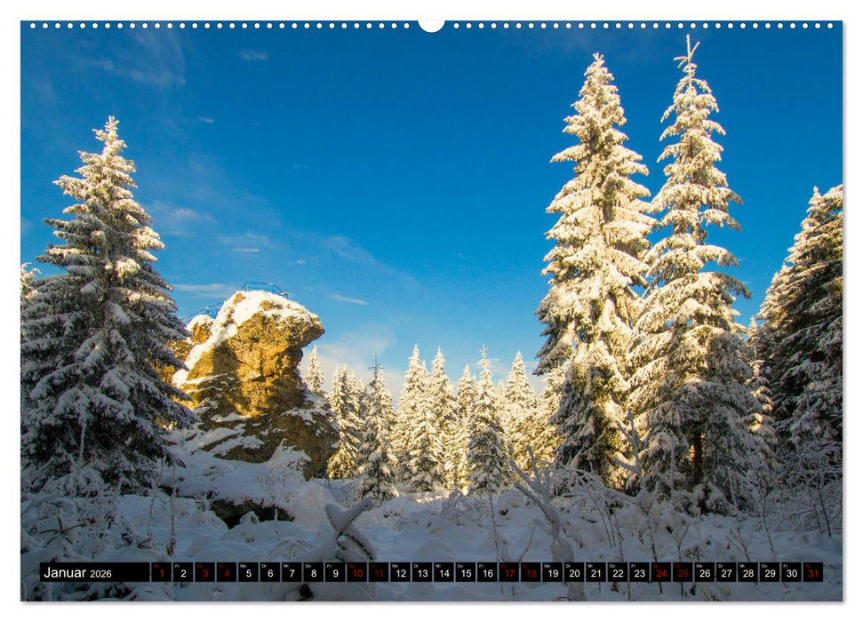 Vogtland - unsere Heimat (CALVENDO Premium Wandkalender 2026)