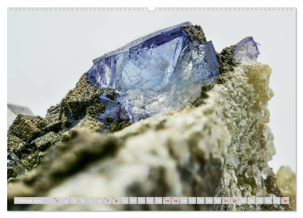 Faszination Mineralien (CALVENDO Premium Wandkalender 2026)