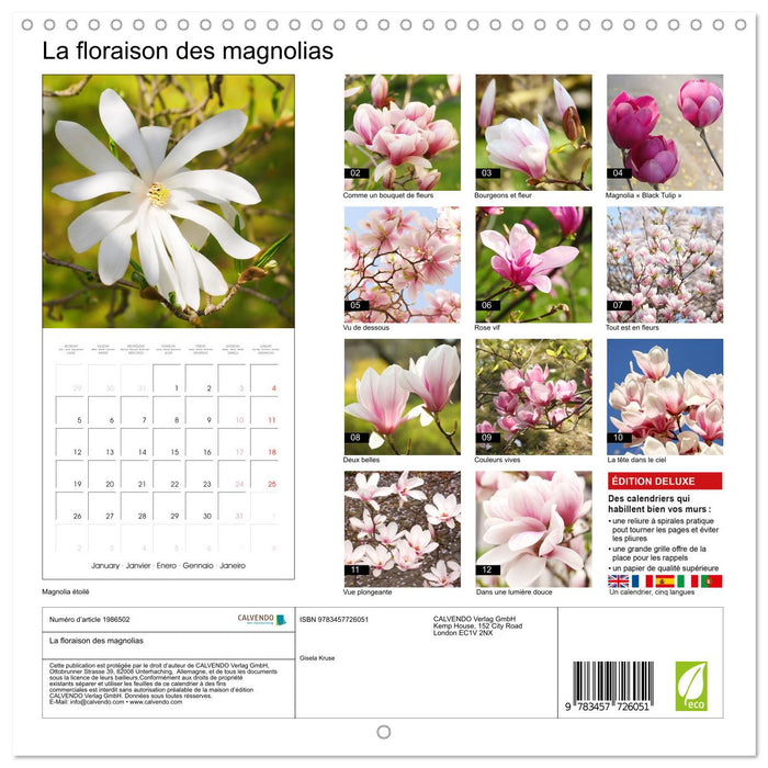 La floraison des magnolias (CALVENDO Calendrier mensuel 2026)