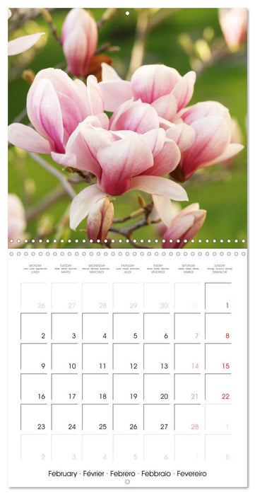 La floraison des magnolias (CALVENDO Calendrier mensuel 2026)
