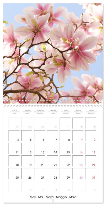 La floraison des magnolias (CALVENDO Calendrier mensuel 2026)