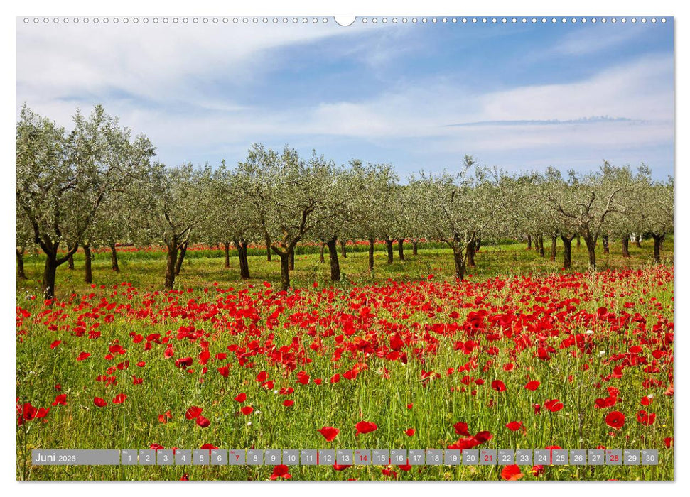 ISTRIEN (CALVENDO Premium Wandkalender 2026)