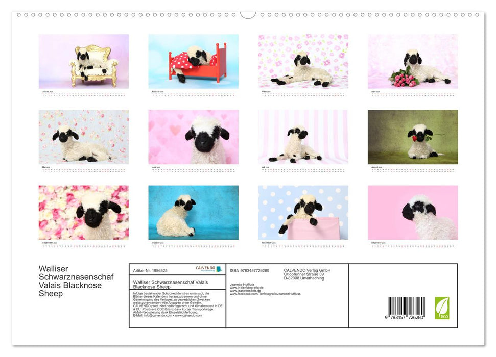 Walliser Schwarznasenschaf Valais Blacknose Sheep (CALVENDO Premium Wandkalender 2026)