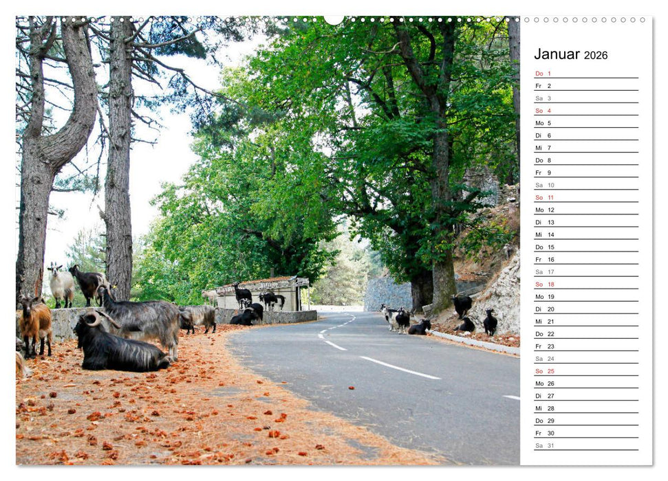 Wildromatisches Korsika (CALVENDO Wandkalender 2026)
