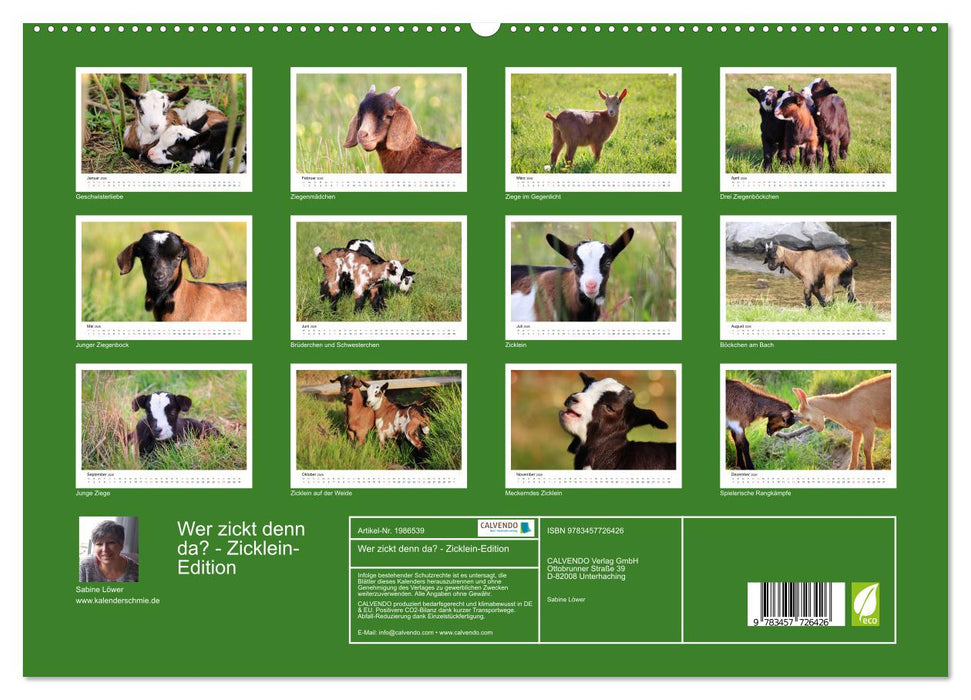 Wer zickt denn da? - Zicklein-Edition (CALVENDO Premium Wandkalender 2026)