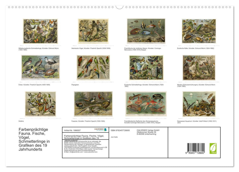 Farbenprächtige Fauna. Fische, Vögel, Schmetterlinge in Grafiken des 19 Jahrhunderts (CALVENDO Premium Wandkalender 2026)